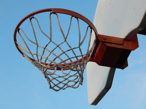 乐鱼体育app-NBA球员防守意识培养训练法与行为转化研究，nba2021球员防守效率