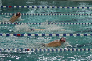 乐鱼体育平台官网-“世界游泳锦标赛：2025新加坡赛场泳池掀起速度与优雅的碰撞”