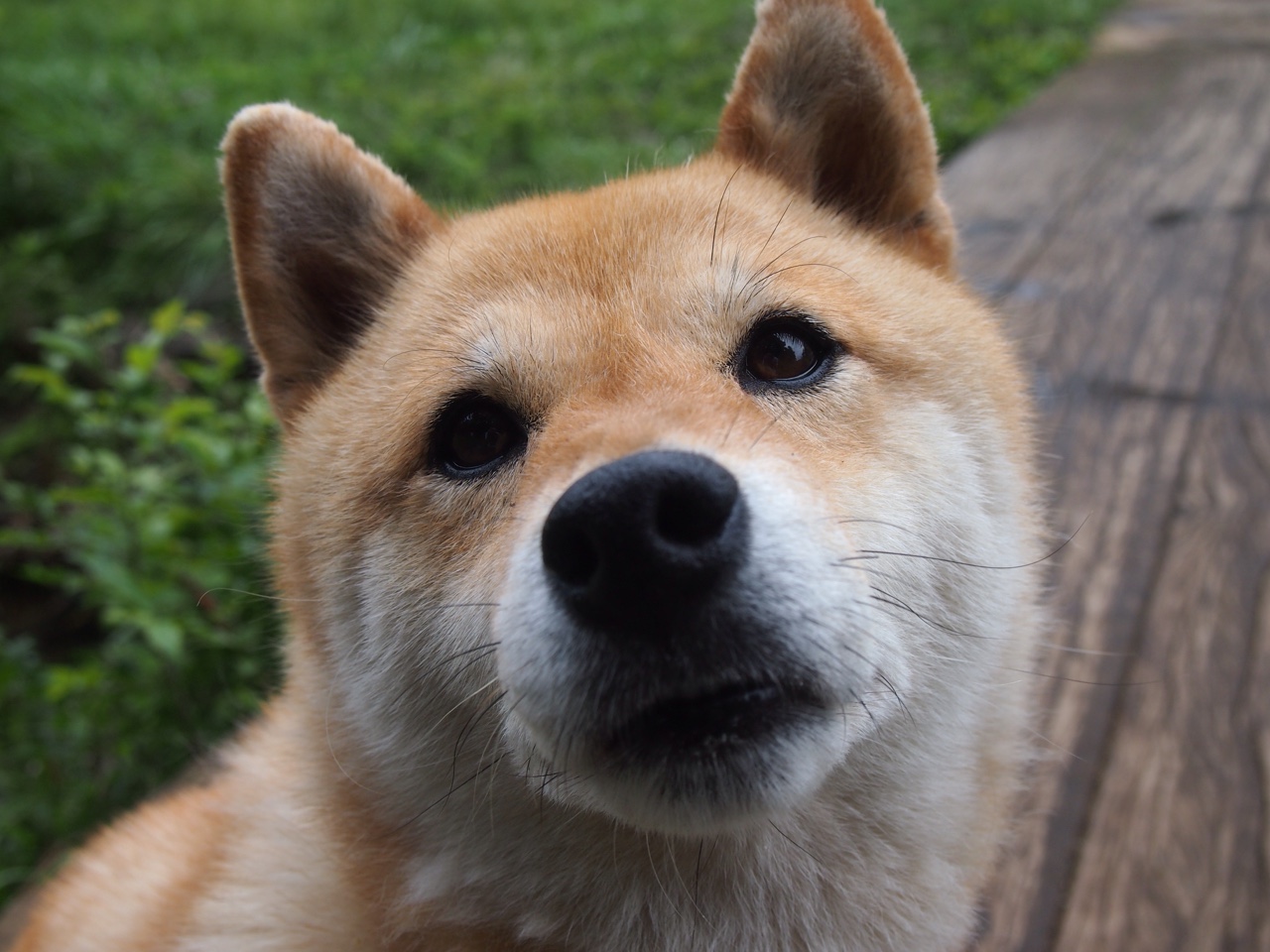 乐鱼体育官网网址-世界杯预选赛中国青年队晋级 球迷期待未来表现，2022世界杯预选赛 中国队出线形势分析