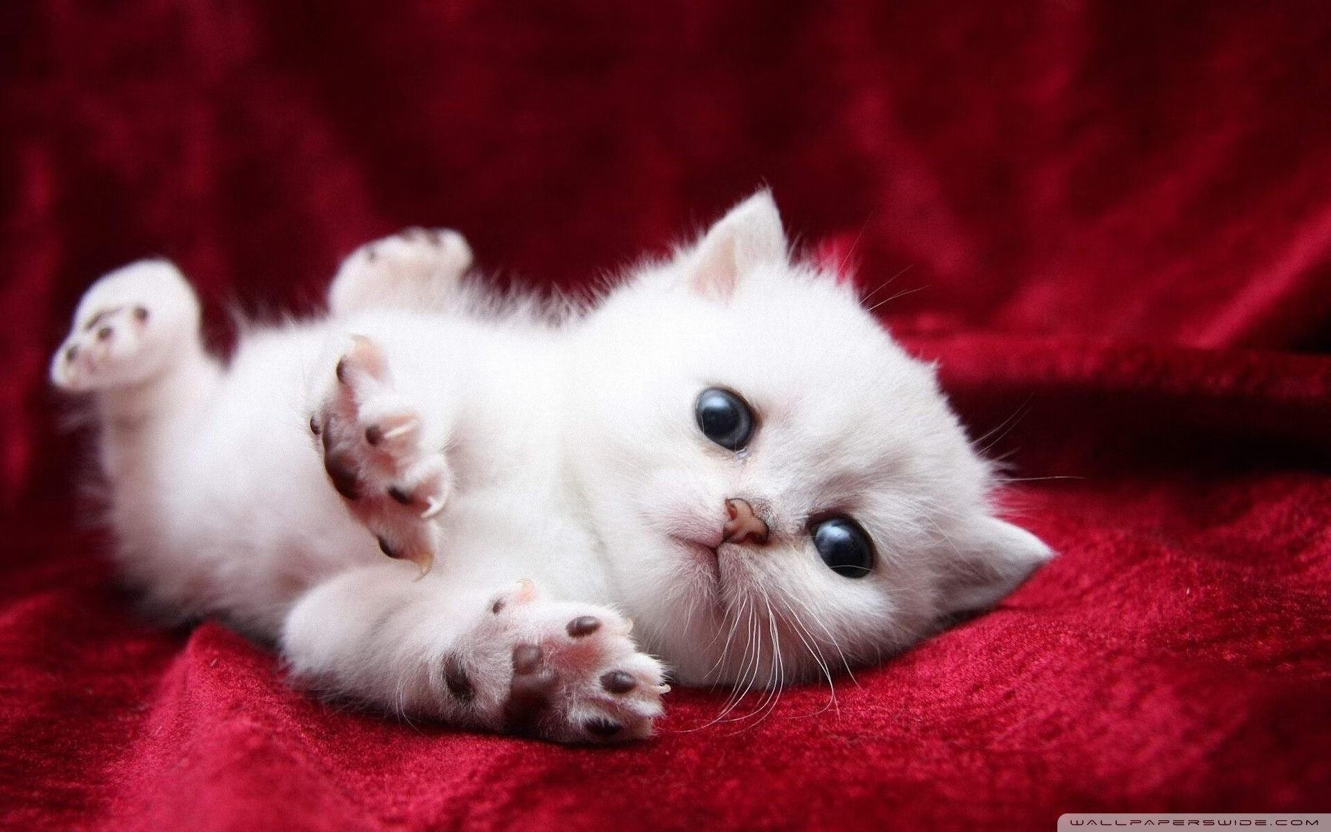 中国足球职业俱乐部球队战术灵活多变，中国足球业余联赛球队