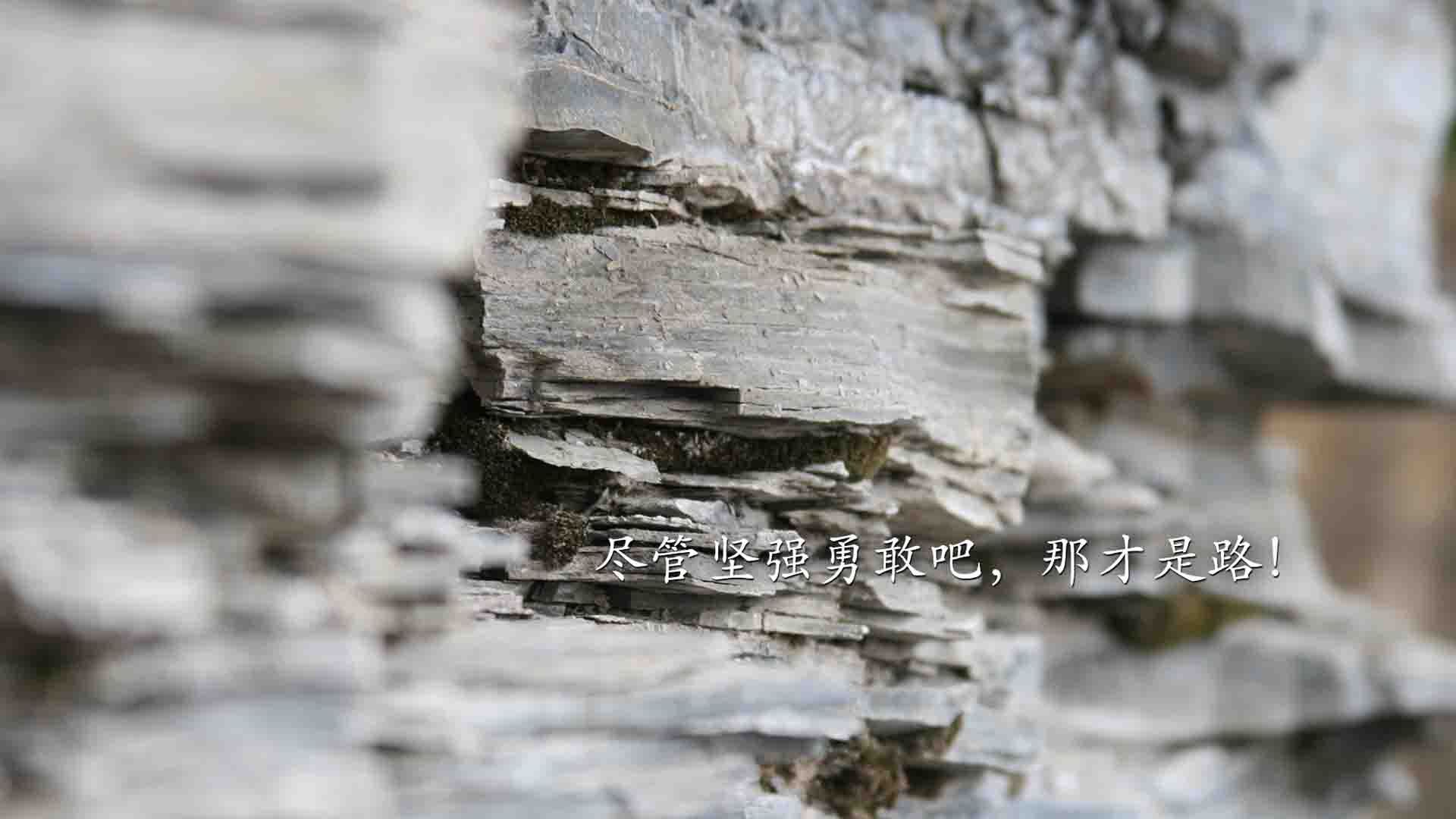 体育场馆无障碍设施完善，体育场馆无障碍设施完善建议