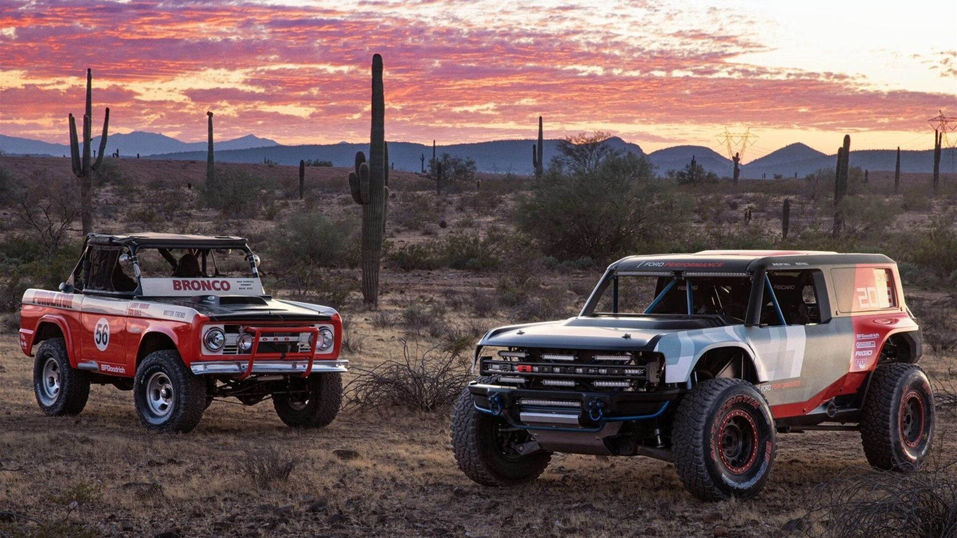 哥伦比亚女篮在美洲锦标赛中获得佳绩，攀上新高峰